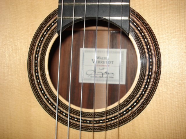rosaceguitarewalterverreydt.jpg
